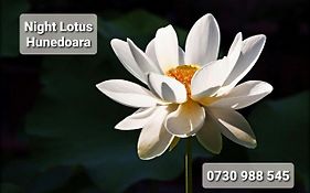 Night Lotus