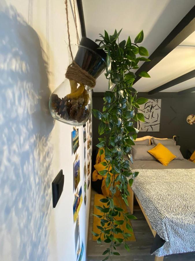 Night Lotus Apartment Hunedoara Exterior foto