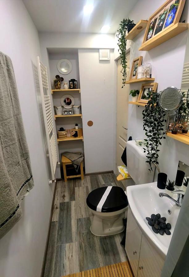 Night Lotus Apartment Hunedoara Exterior foto